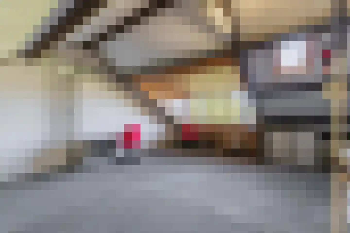 Ereprijshof 8 Houten thumbnail 40