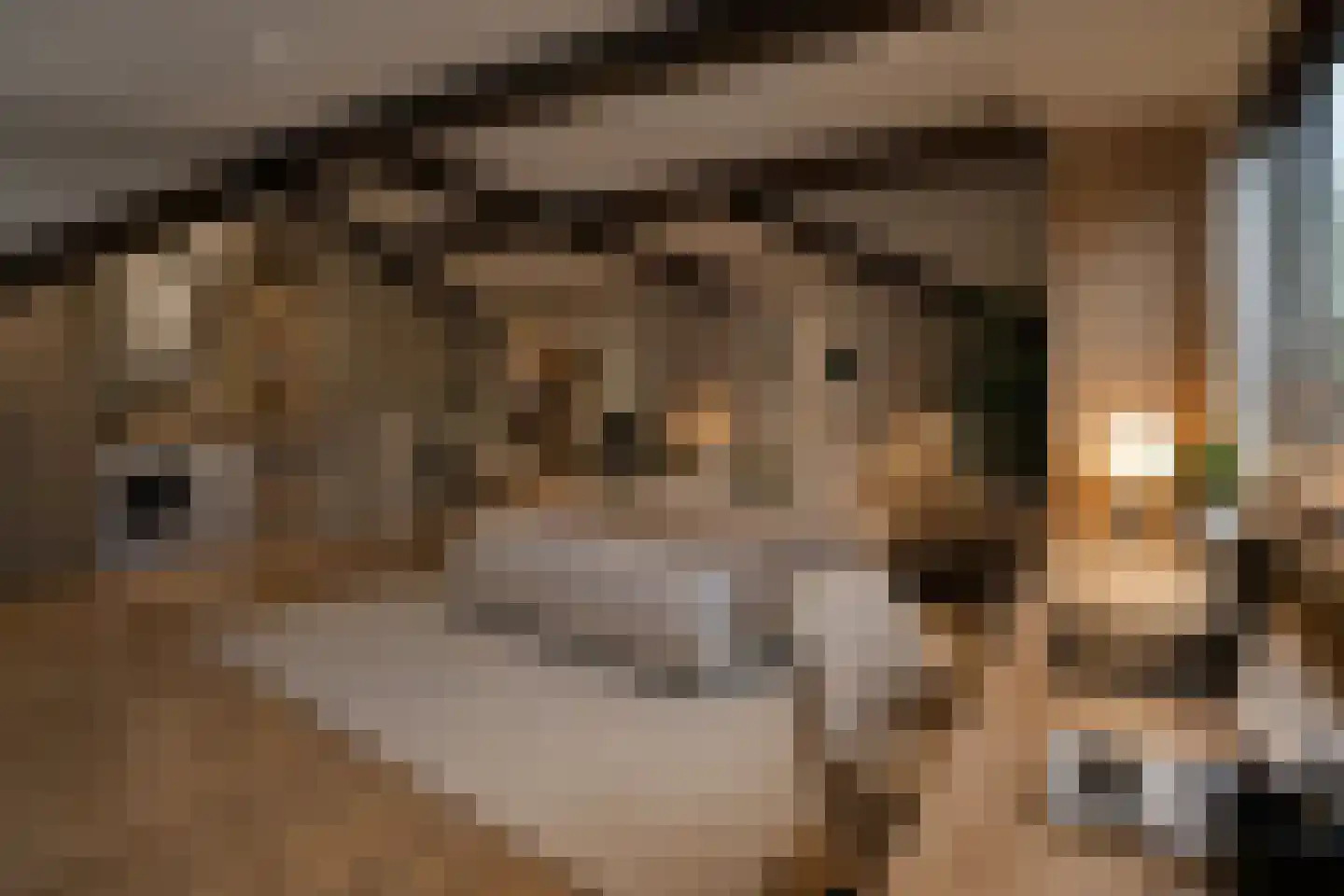 Ereprijshof 8 Houten thumbnail 41