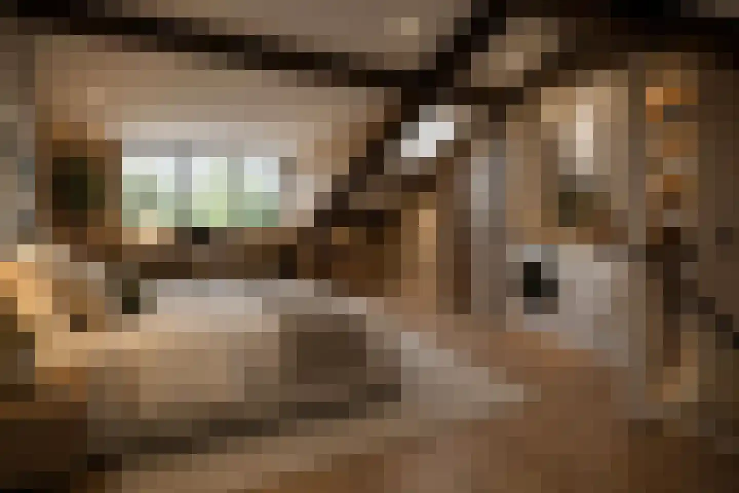 Ereprijshof 8 Houten thumbnail 43