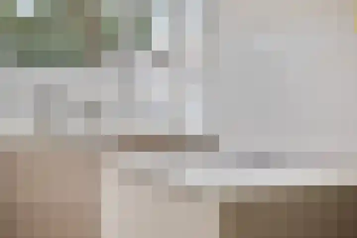 Ereprijslaan 1 Waalre thumbnail 16