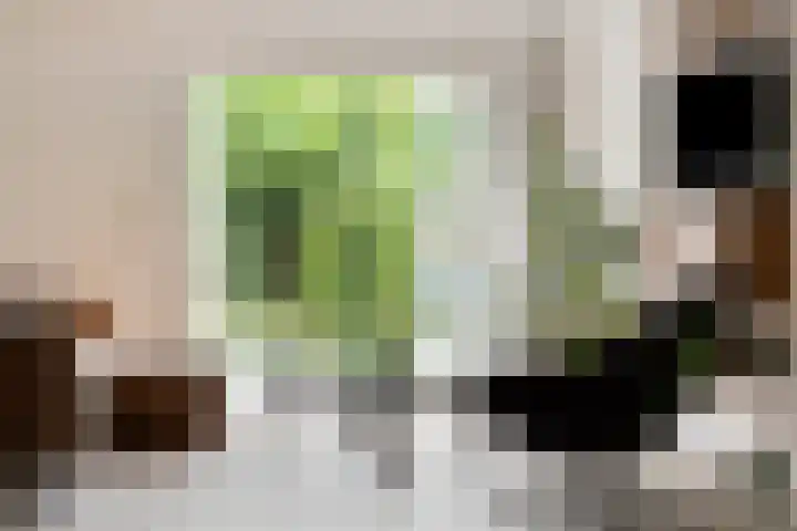Ereprijslaan 1 Waalre thumbnail 17
