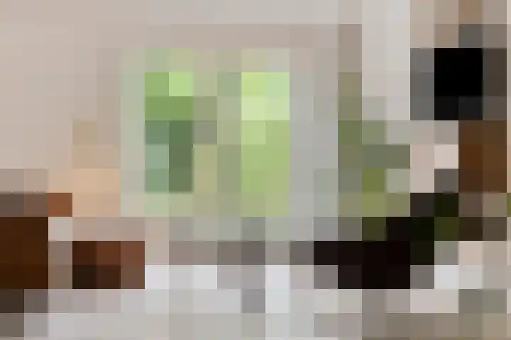Ereprijslaan 1 Waalre thumbnail 18