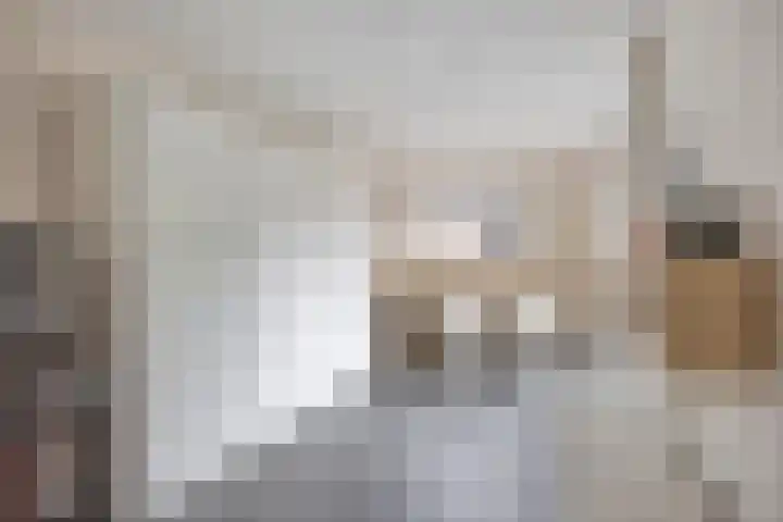Ereprijslaan 1 Waalre thumbnail 19