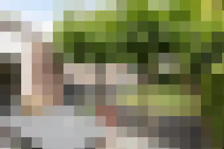 Ereprijslaan 1 Waalre thumbnail 22