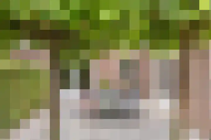 Ereprijslaan 1 Waalre thumbnail 23