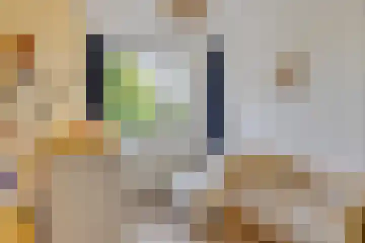 Ereprijslaan 1 Waalre thumbnail 31