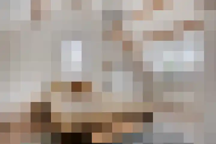 Ereprijslaan 1 Waalre thumbnail 36