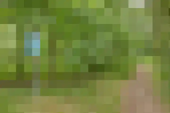 Ereprijslaan 1 Waalre thumbnail 42
