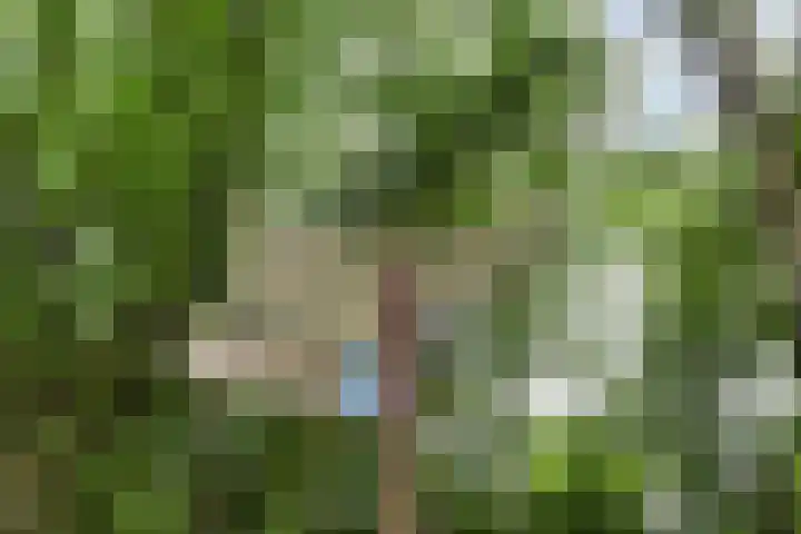 Ereprijslaan 1 Waalre thumbnail 44