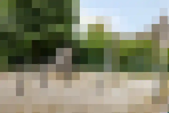 Ereprijslaan 1 Waalre thumbnail 45