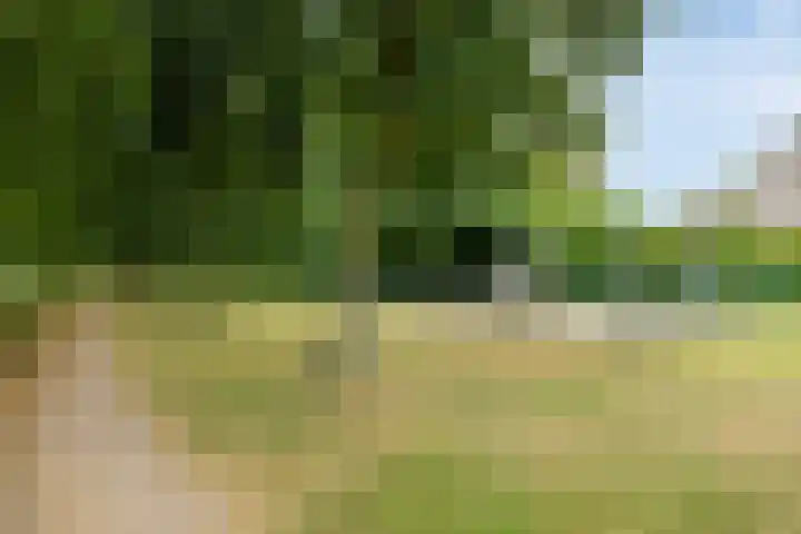 Ereprijslaan 1 Waalre thumbnail 46