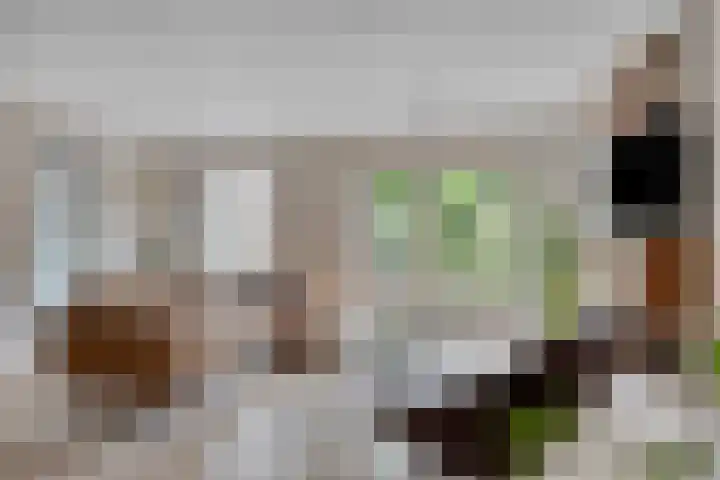 Ereprijslaan 1 Waalre thumbnail 6