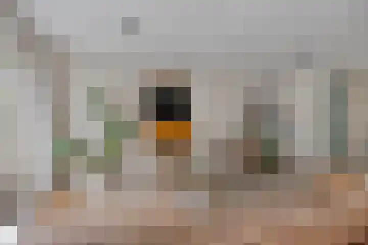 Ereprijslaan 1 Waalre thumbnail 7