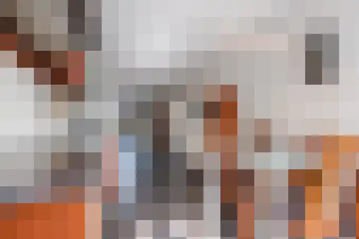 Ereprijslaan 10 Beilen thumbnail 11