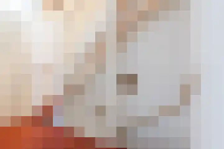 Ereprijslaan 10 Beilen thumbnail 14