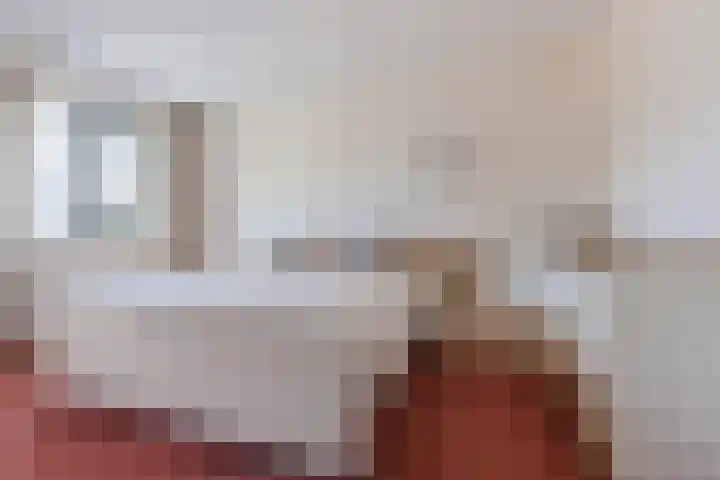 Ereprijslaan 10 Beilen thumbnail 15
