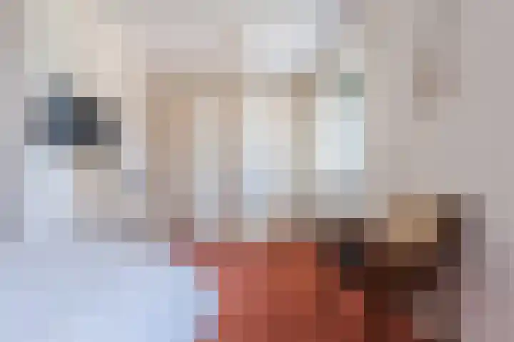 Ereprijslaan 10 Beilen thumbnail 18