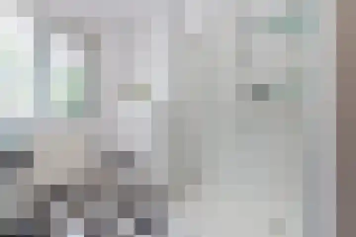 Ereprijslaan 10 Beilen thumbnail 22