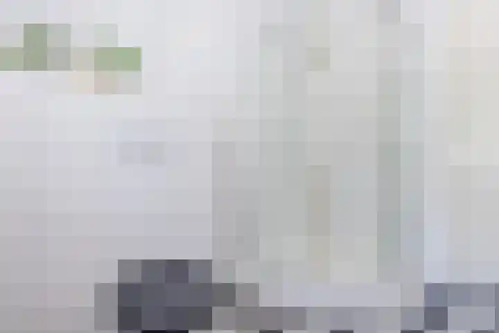 Ereprijslaan 10 Beilen thumbnail 25
