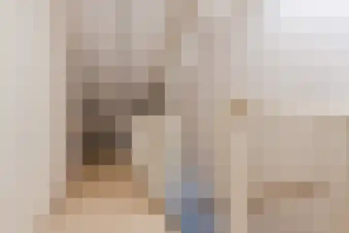 Ereprijslaan 10 Beilen thumbnail 26