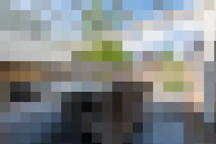 Ereprijslaan 10 Beilen thumbnail 30