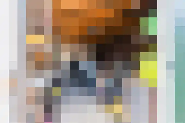Ereprijslaan 10 Beilen thumbnail 35
