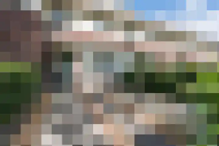 Ereprijslaan 10 Beilen thumbnail 37