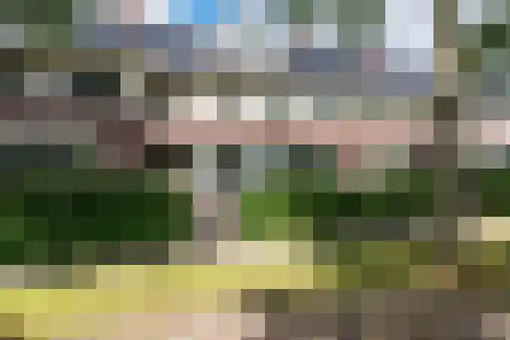 Ereprijslaan 10 Beilen thumbnail 38