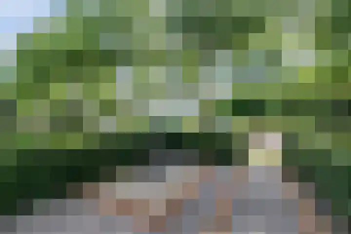 Ereprijslaan 10 Beilen thumbnail 39