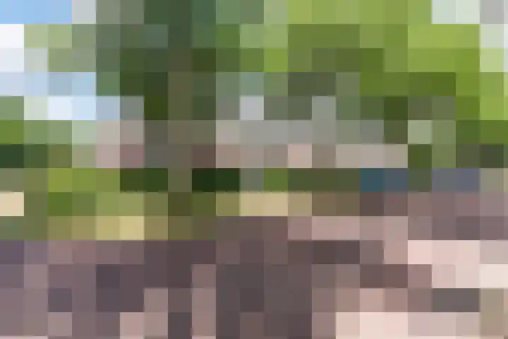 Ereprijslaan 10 Beilen thumbnail 40