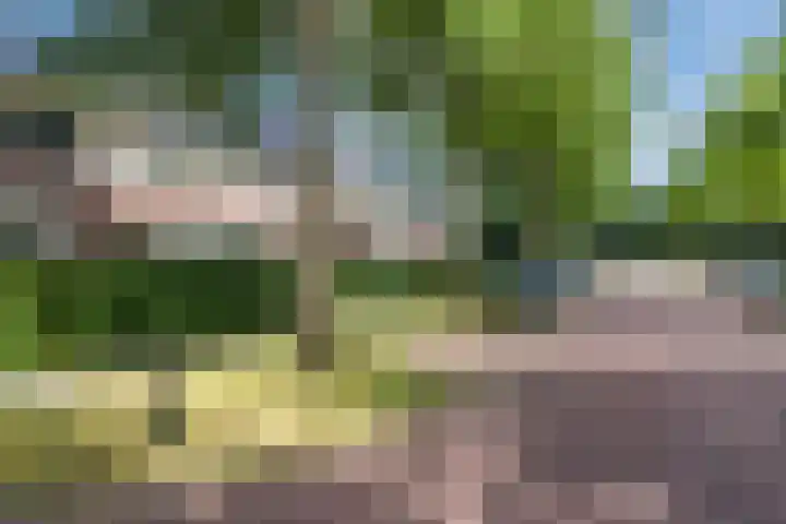 Ereprijslaan 10 Beilen thumbnail 41