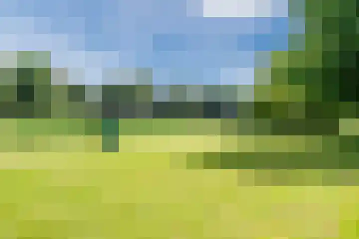 Ereprijslaan 10 Beilen thumbnail 43