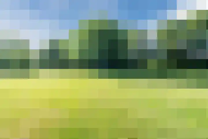 Ereprijslaan 10 Beilen thumbnail 44