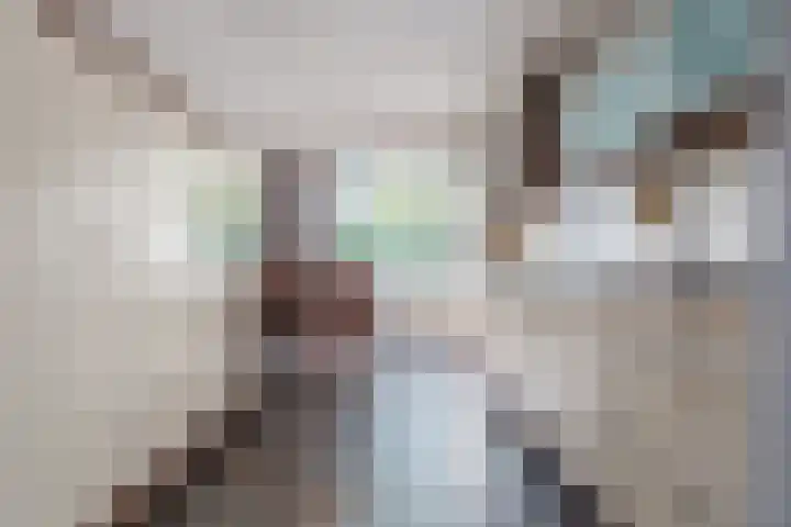 Ereprijslaan 10 Beilen thumbnail 8