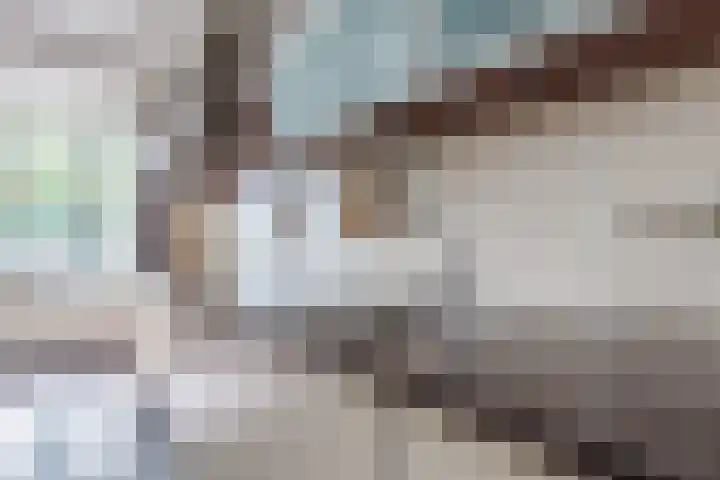 Ereprijslaan 10 Beilen thumbnail 9