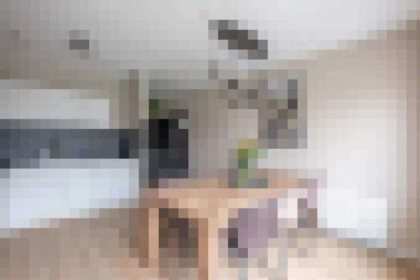 Ereprijslaan 35 Beilen thumbnail 11