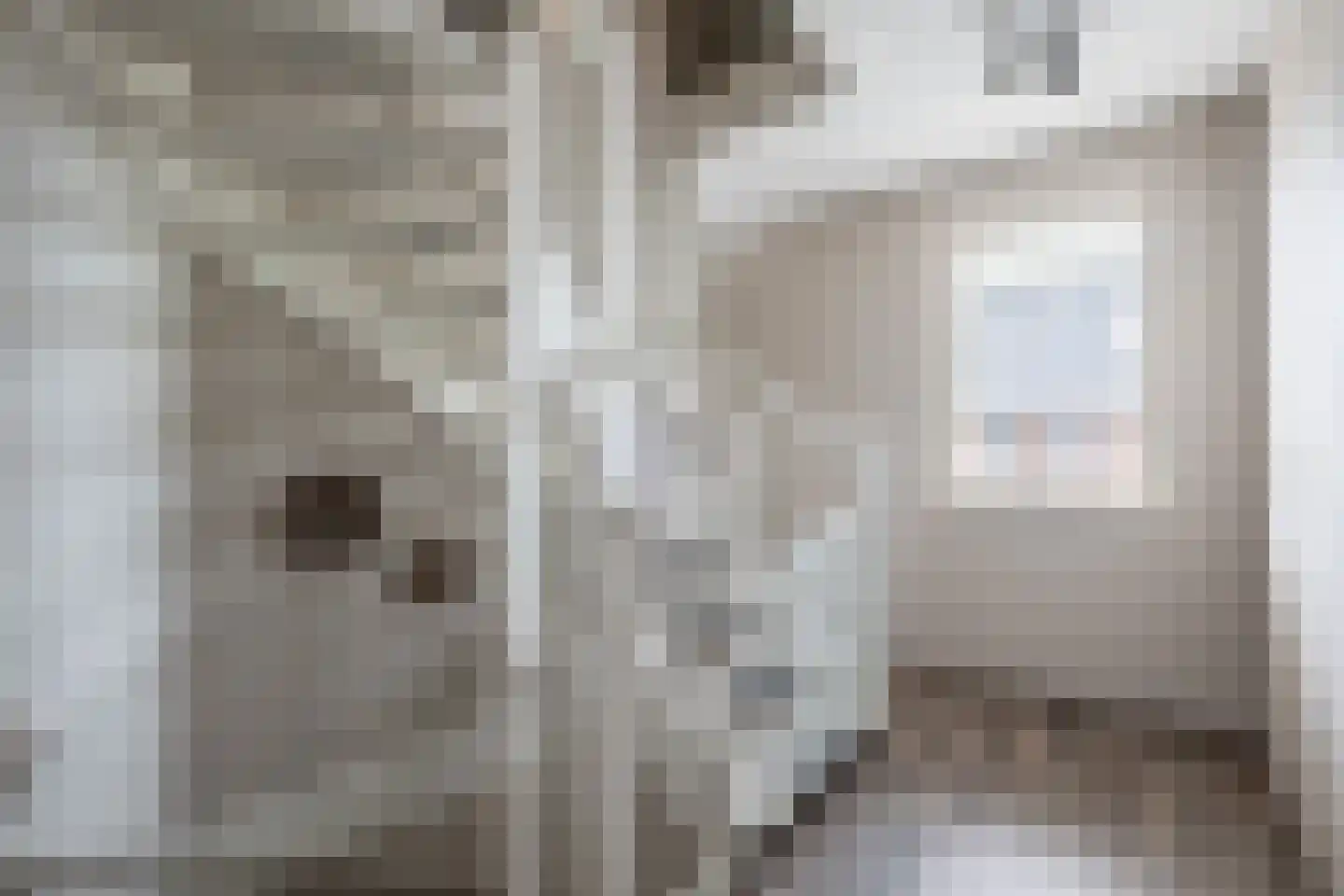 Ereprijslaan 35 Beilen thumbnail 13