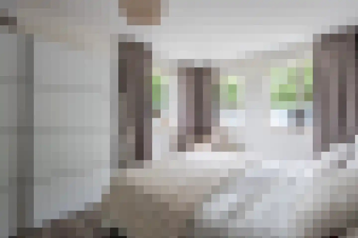 Ereprijslaan 35 Beilen thumbnail 15