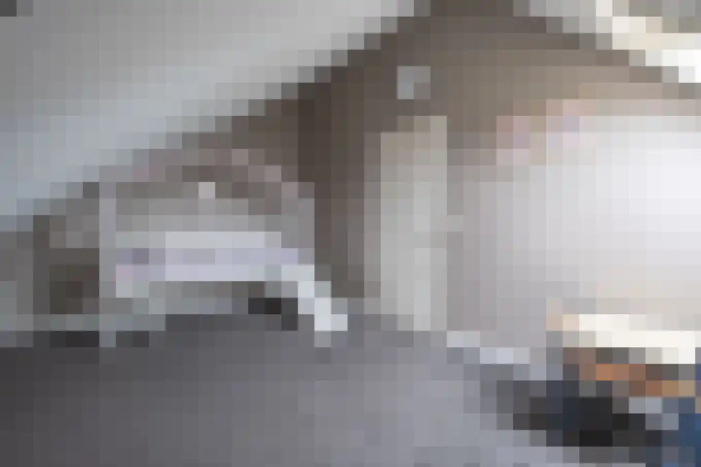 Ereprijslaan 35 Beilen thumbnail 26