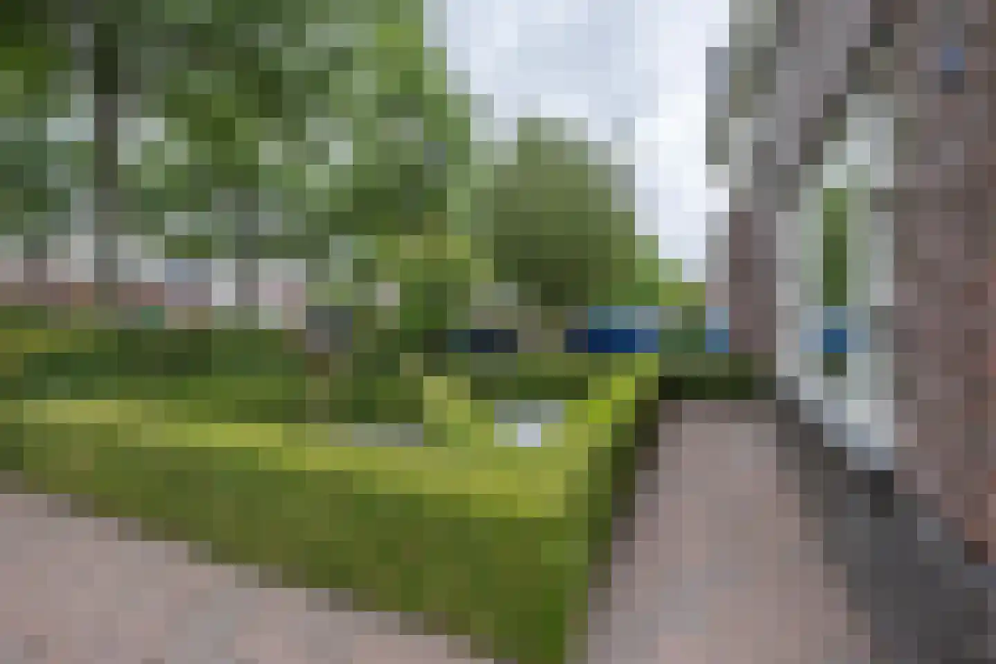Ereprijslaan 35 Beilen foto 3