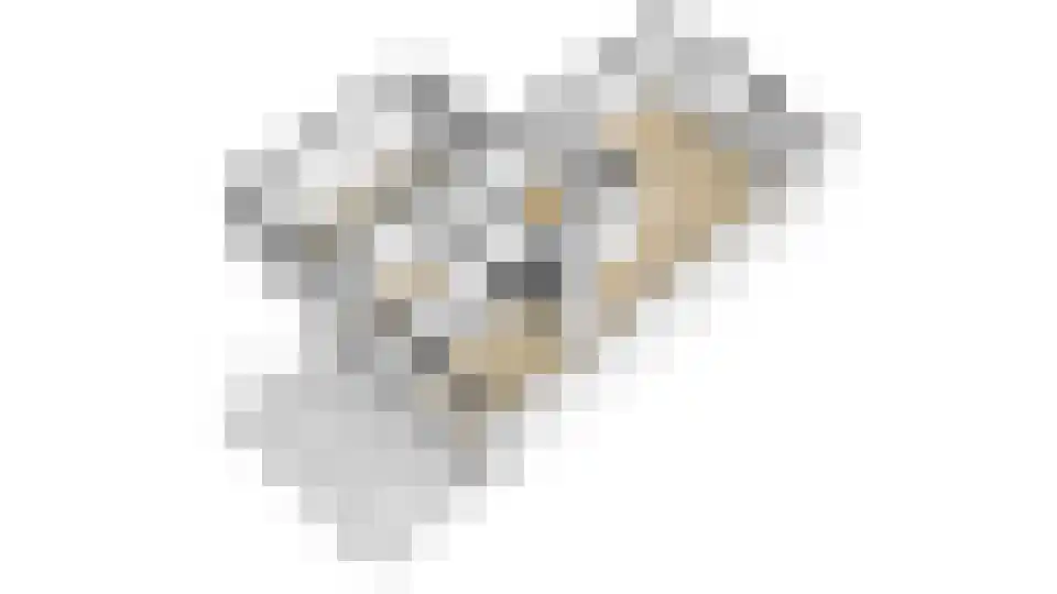 Ereprijslaan 35 Beilen thumbnail 36