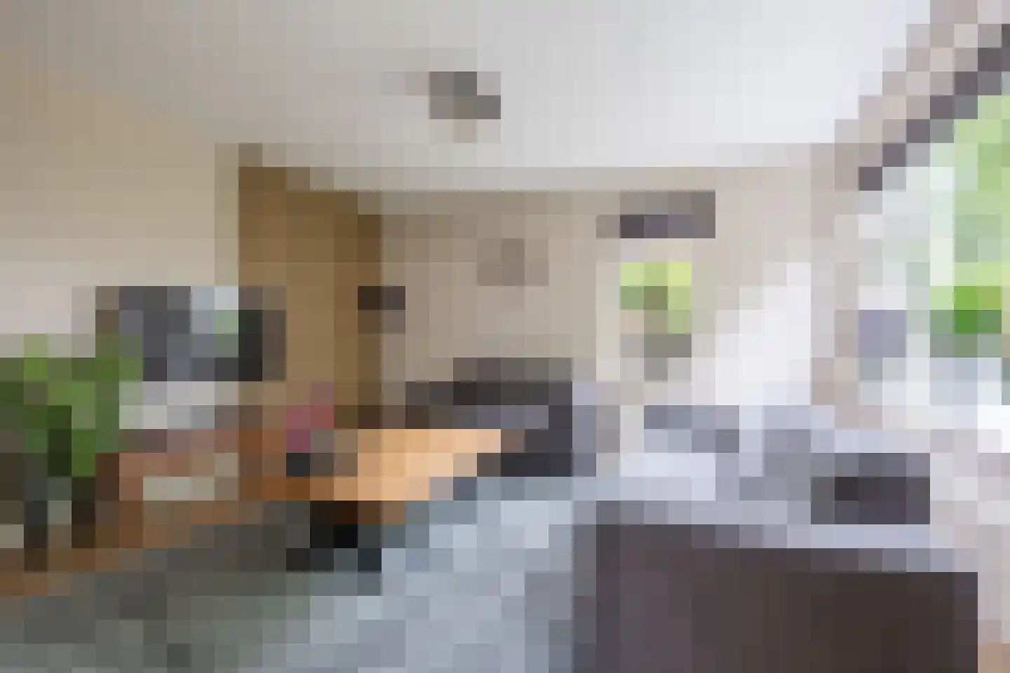Ereprijslaan 35 Beilen thumbnail 7