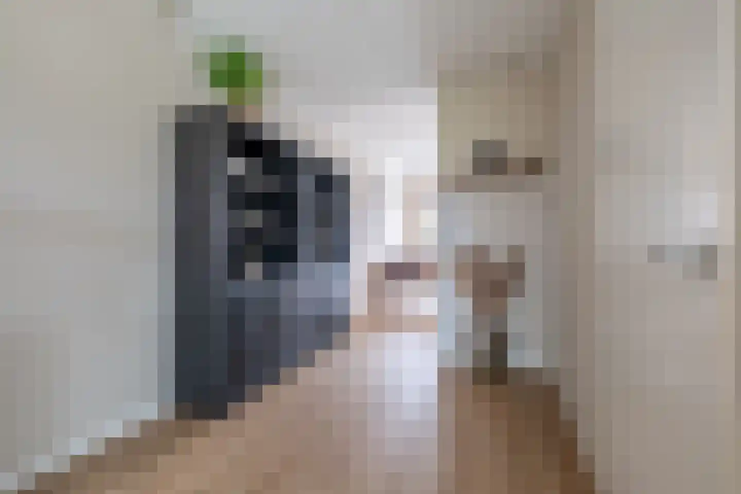 Ereprijslaan 35 Beilen thumbnail 8