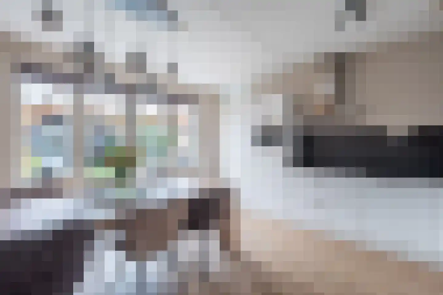 Ereprijslaan 35 Beilen thumbnail 9