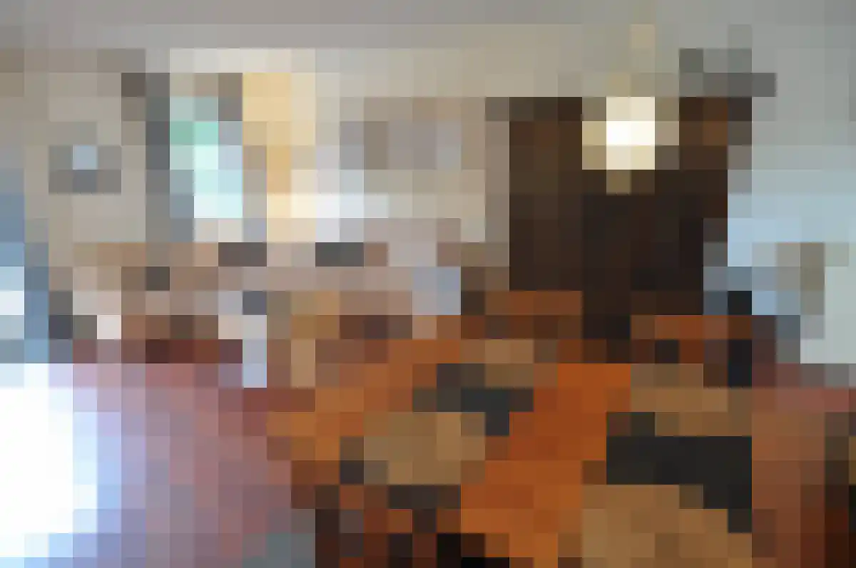 Ereprijslaan 7 Waalre foto 3