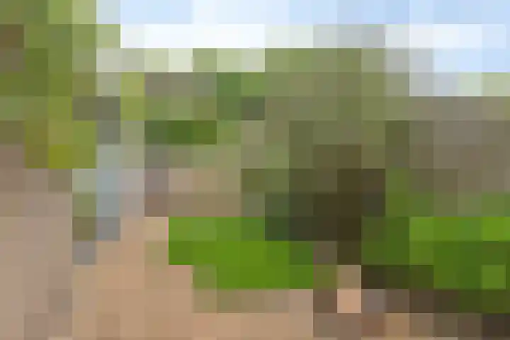 Ereprijslaan 75 Scherpenzeel thumbnail 25
