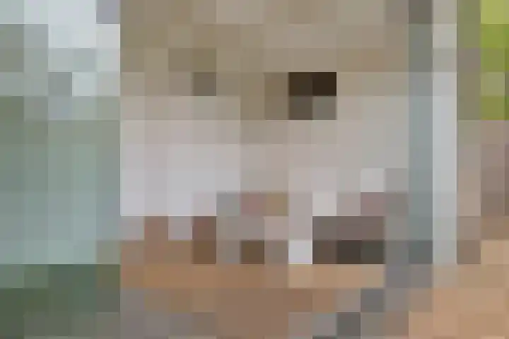 Ereprijslaan 75 Scherpenzeel thumbnail 27