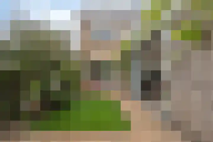 Ereprijslaan 75 Scherpenzeel thumbnail 28