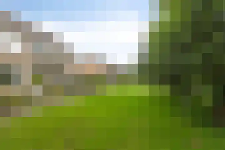 Ereprijslaan 75 Scherpenzeel thumbnail 30
