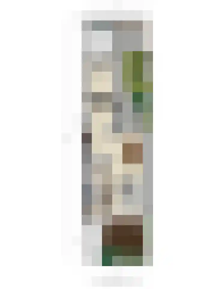 Ereprijslaan 75 Scherpenzeel thumbnail 35